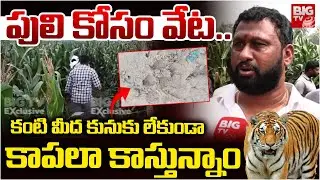 Tiger in Thorredu Village |పులి కోసం వేట.. Thorredu Villagers Searching For Tiger | Tiger Hulchal