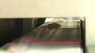 Customer story: Automated portion cutting at SAS Le Venec