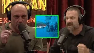 Joe Rogan & Andrew Huberman Talk About INSANE Shark Diving