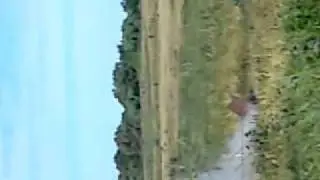MOV09133