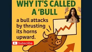 Is Bull market Ending? A Beginner&rsquo;s guide to Understanding What it is!