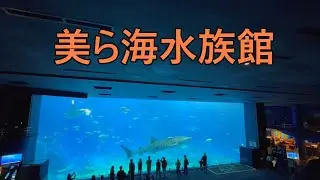 【新年初旅】【美ら海水族館】【ジンベエザメ】【那覇空港】【セントレア】【沖縄旅行】1