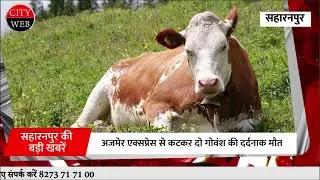 सहारनपुर की खबरें 3 अगस्त 22।#saharanpurkhabar #cityweb #baba_ji_ki_sakhi #corona #covid19 #news