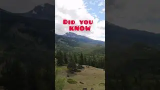 Boreal forest, DID YOU KNOW that about the world lagest biome?