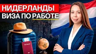 Как переехать в Нидерланды по работе: виза Highly Skilled Migrant