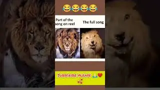 school memes 😂 relabel memes🤣 funny memes 😂😂 #memeshort #funnymemes#memes #shorts#funny #memesvideos