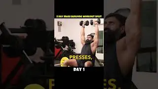 5 day mass building split - day 1 #workout #massbuilding #shorts