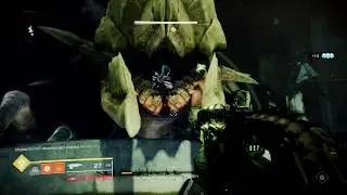 Destiny 2 One Thousand Voices after 78 raids