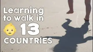 Baby Wren 👶 First tracks in 13 countries 👣 🌎 👣