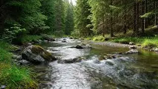 Calming Green River ASMR 💧 Peaceful Nature Sounds for Mind Relaxation