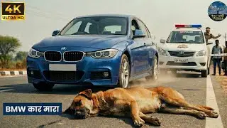 Heartbreaking ! BMW Car Hit A Stray Dog😭 UP Police Action & Chase!