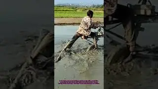 Paddy Field Leveling: Safety Tip for Muddy Farm Work!