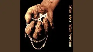 הציר