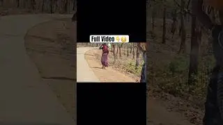 Leopard Sighting In Open Road Jim Corbett #viralvideo #wildlife #leopard #shorts