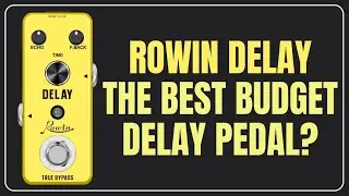 Лучшая бюджетная педаль задержки! Rowin Delay