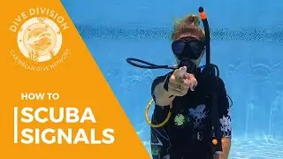 HOW TO: Scuba Signals - How Divers Communicate UNDERWATER! Dive Division, Curacao - Training Video
