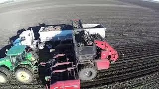 NDFB presents: Sugar Beets