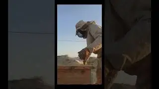 نتائج تجربة شمع الأساس في خلية ضعيفة (خلية بيضاوي)