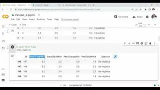 Lecture 28: Introduction to Pandas (Part 2) (Hindi)| Data Analysis-IRIS Dataset