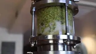 Heads of Noosa Brewing Co. - Beer Randall