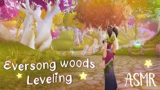 Playing World of Warcraft 🎮 Eversong Woods ASMR | Soft Spoken