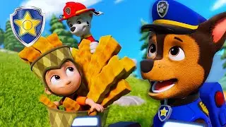 Chase Save Alex From A Hungry Seagull Attack! 🐦🍟 | Chase Official Channel | PAW Patrol | Compilation