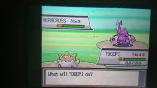 Shiny heracross fail
