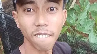 Selamat menyaksikan semuanya dan selamat sore, suasana di kampung halaman