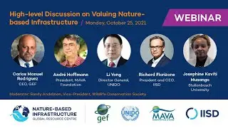 A High-Level Virtual Discussion on Valuing Nature-Based Infrastructure