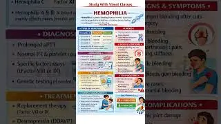 #Hemophilia Explained in 30 Seconds | A = 8, B = 9 #Trick 🔥