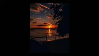 [free] Indie folk type beat