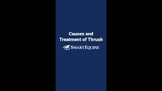 Nuances of Treating Thrush in Horse Hooves