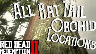 Red Dead Redemption 2 - All 20 Rat Tail Orchid Locations (Duchesses and Other Animals) Exotics