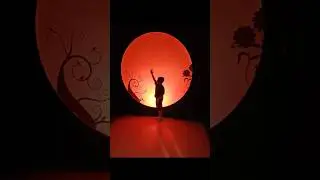 Magic park Dubai #Shorts #funnyshorts #dubai #ytshorts #shorts