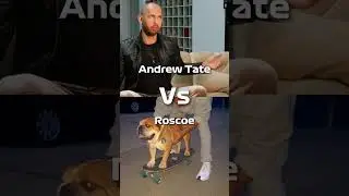 Roscoe is the best boy. #f1 #formula1 #formula1edit #shorts #hamilton #rosce #mercedes