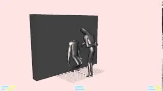 Finisher Animation (original)