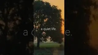 nature peace harmony
