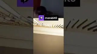 KKKKKKKKKKK  | morabit0 em #Twitch #susto #humor #viral #morabito