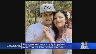 Strangers rescue visually impaired man who fell into Boston Harbor with guide dog