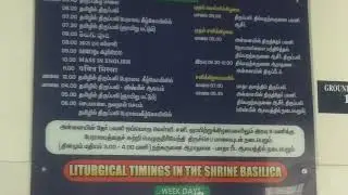 Velankanni Shrine Matha Church Liturgical Mass timing in Different language mass