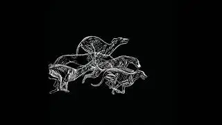 La Venders - Niepewność