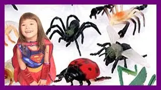 SIÊU NHÂN PEANUT ĐI SĂN CÔN TRÙNG ĐỘNG  VẬT & HỌC TÊN CÁC LOÀI CÔN TRÙNG ĐỘNG VẬT