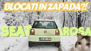Anvelope ALL SEASON VS ZĂPADĂ : Adevărul!