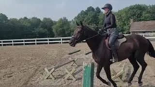 Quickbeam for equine affaire #2