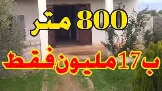 قطعة أرضية 800 متر 🏡 و بناية 130 متر بالجردة مع كوري 🐄 للبيع نواحي عين الشكاك فاس ب 17 مليون فقط 👍