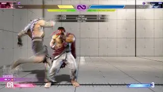 Sagat's tiger shot combo