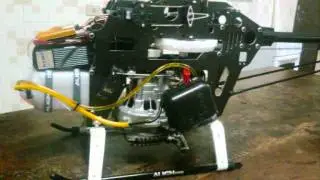 T-REX 600 GASSER HELIBUG - 29 cilindradas.wmv