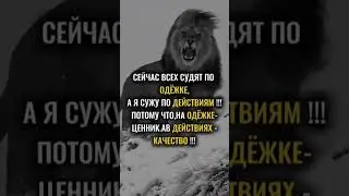 ЗАПОМНИ ☝ #shortvideo #мудрость#цитаты #успех #мотивация #video #жизнь #shorts #viral #2026