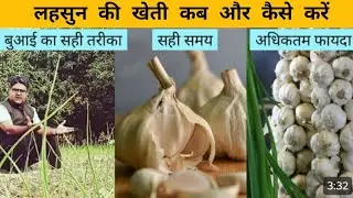 When and how to cultivate garlic | garlic ki kheti kab aur kaise kare | garlic ki kheti | #kisanindia