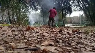 Gardener / Farmer sa Croatia, Ganito ang  Trabaho namin Pag Winter.